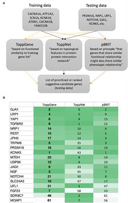 Prioritizing Suggestive Candidate Genes in Migraine: An Opinion